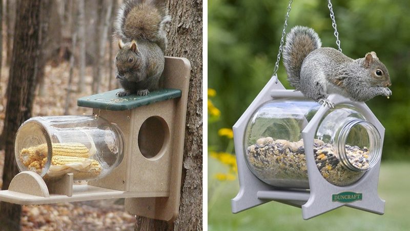 Кормушка для белки из дерева Кормушка для белки из дерева