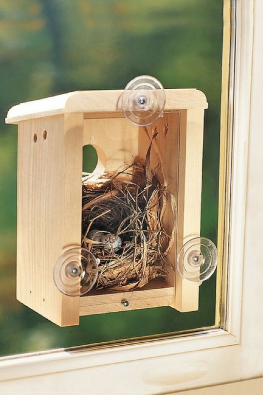 Гнездо с птичками своими руками - поделка из природного материала - мастер - класс
