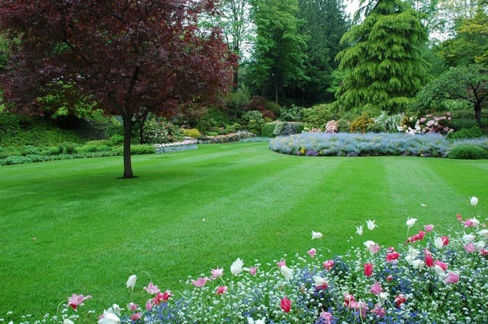 коттеджный сад с газоном