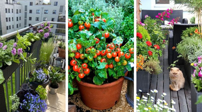 Мини дача на балконе: 30 идей для красоты и удовольствия в городских «джунглях»