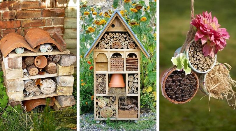Зачем нужен домик для насекомых в саду?