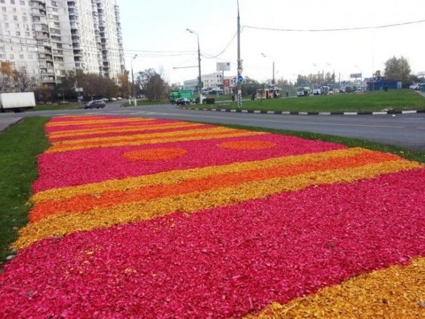 Украшаем свои цветники декоративной щепой : 50 фото примеров | Живу за ...