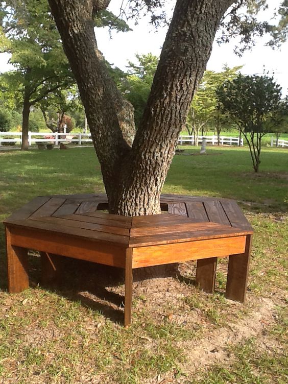Круговая скамейка вокруг дерева