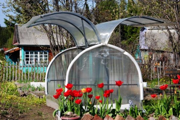 Парники для дачи своими руками: 65 простых и доступных решений | Живу ...