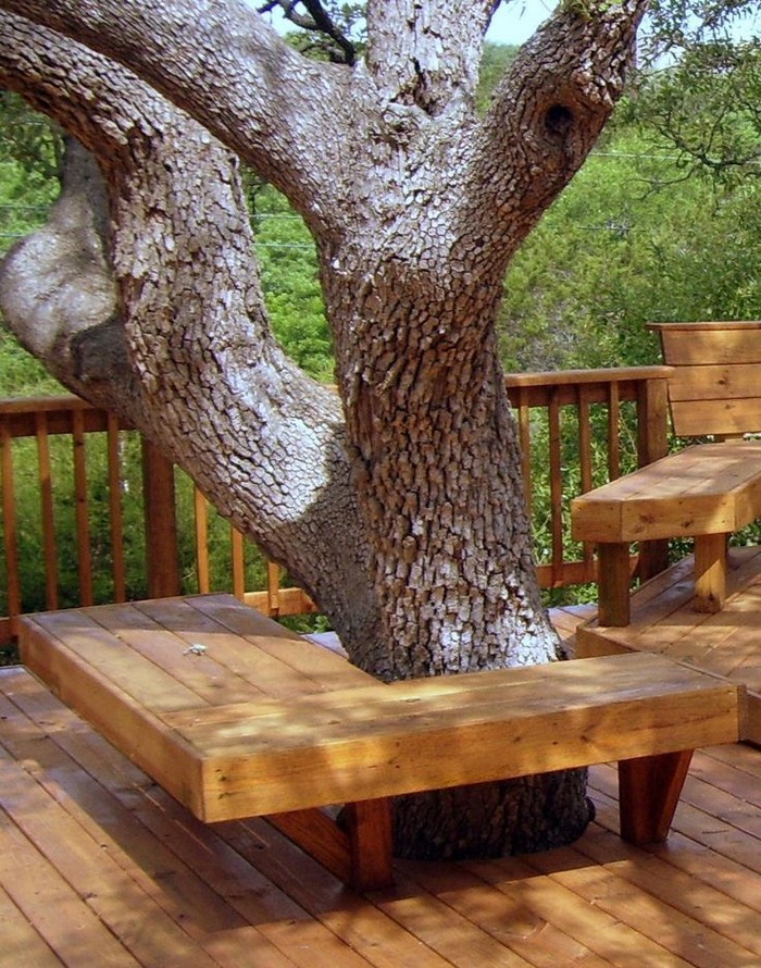Круговая скамейка вокруг дерева