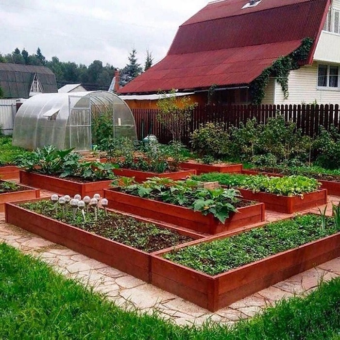 Новые идеи для сада и огорода своими руками фото