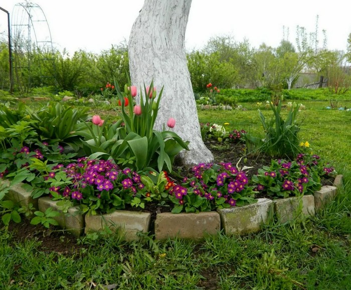 Оформление клумб и цветников во дворе своими руками фото