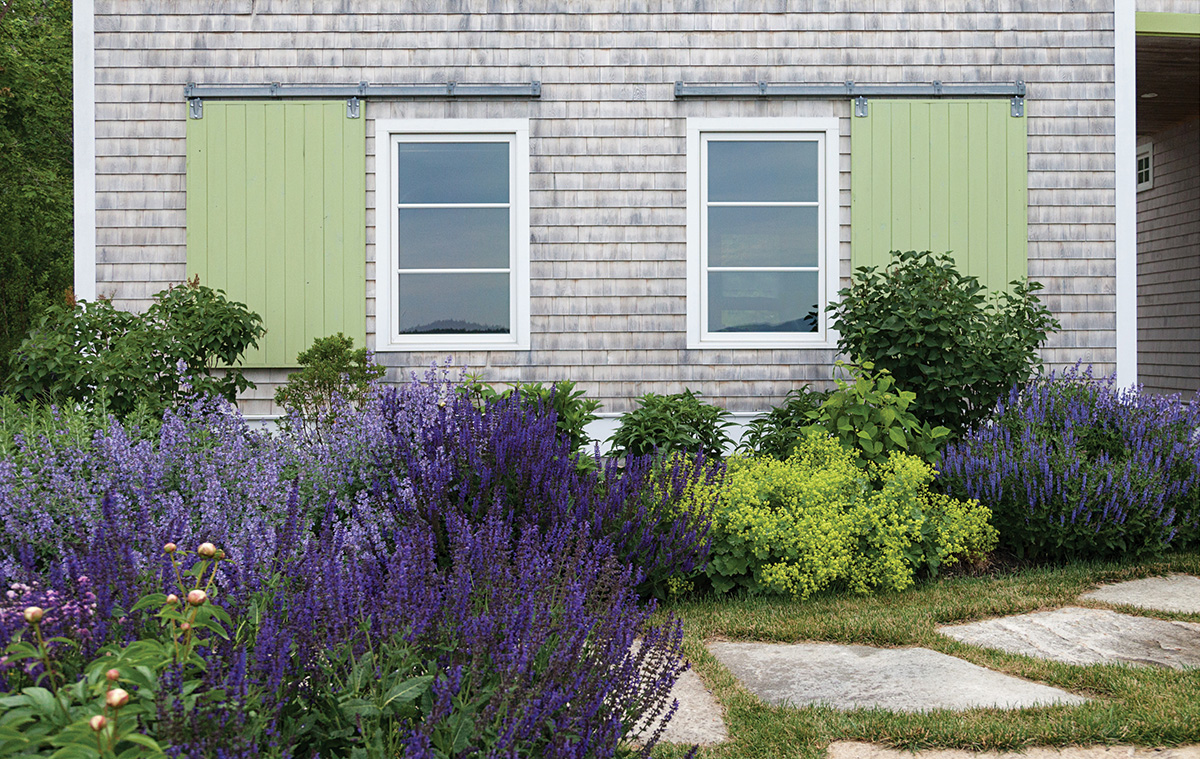 Элегантный фиолетовый сад вокруг дома: 43 дизайна для души и