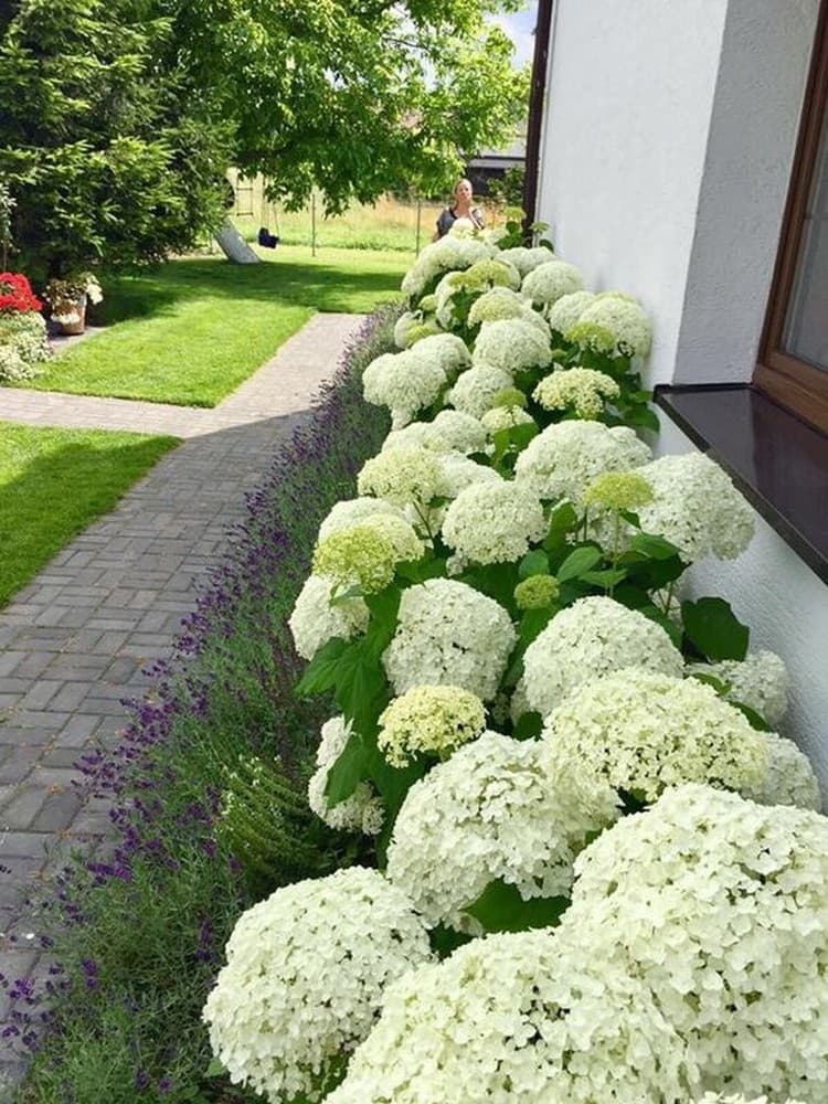 55 пейзажных клумб для загородного участка | Живу за городом
