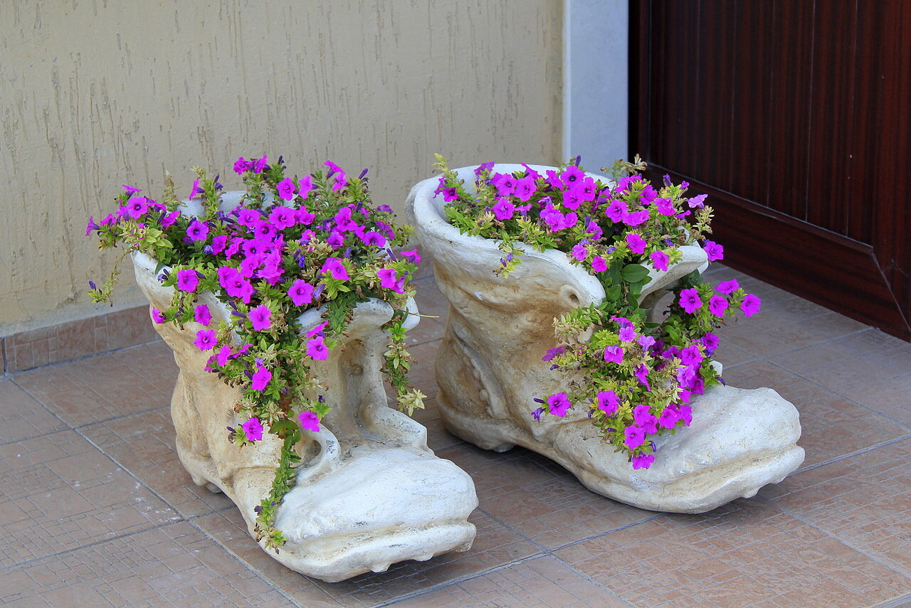Растения для вазонов. Кашпо 'петуния' шамот. Оригинальные клумбы. Оригинальные клумбы для цветов. Уличные вазы для цветов.