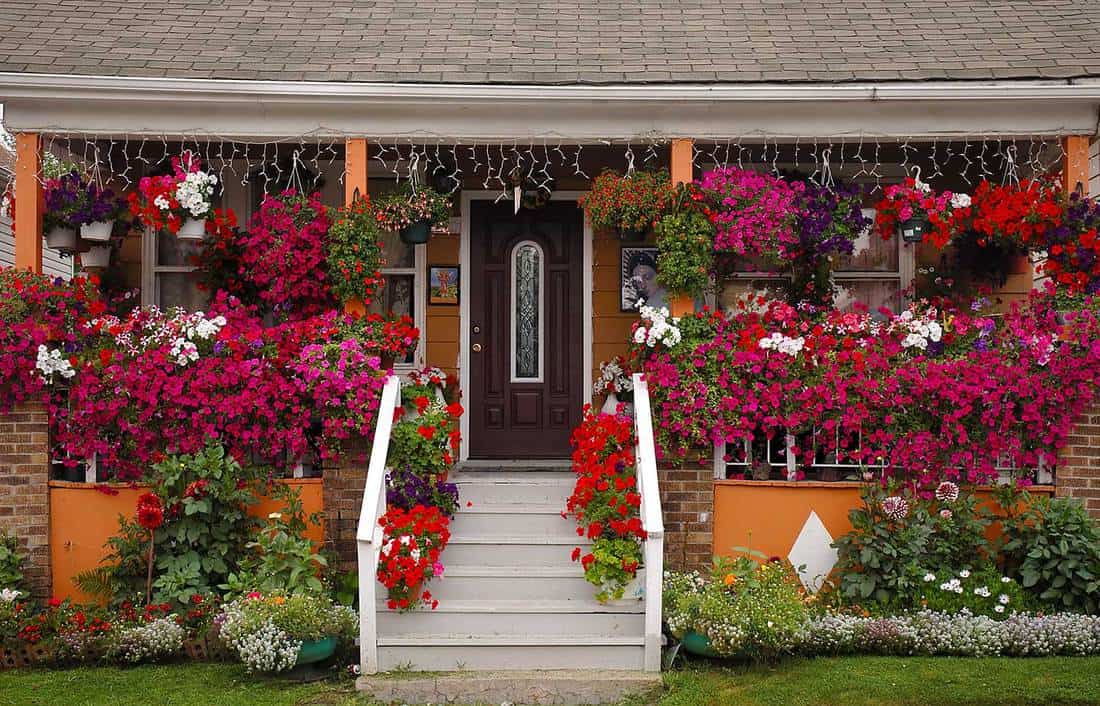 Цветник около крыльца. Цветы около крыльца на даче фото. Flower House.