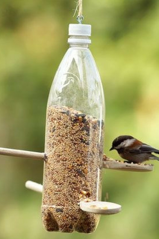 Кармушка для птиц из бутылки