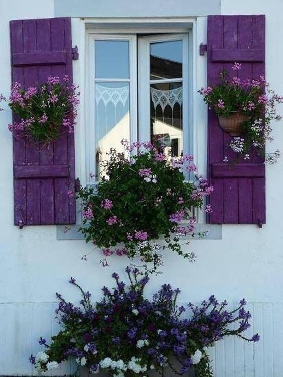 Цветник на окне
