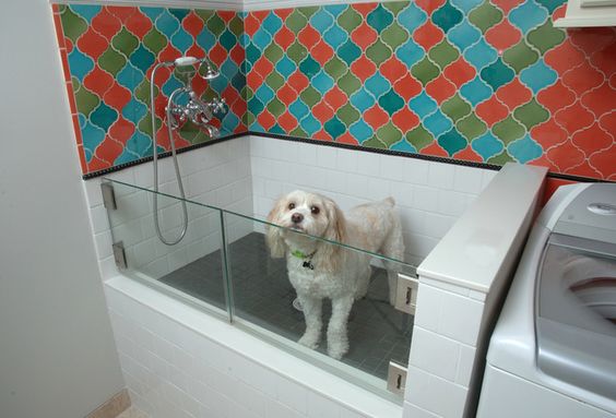 душ для собак